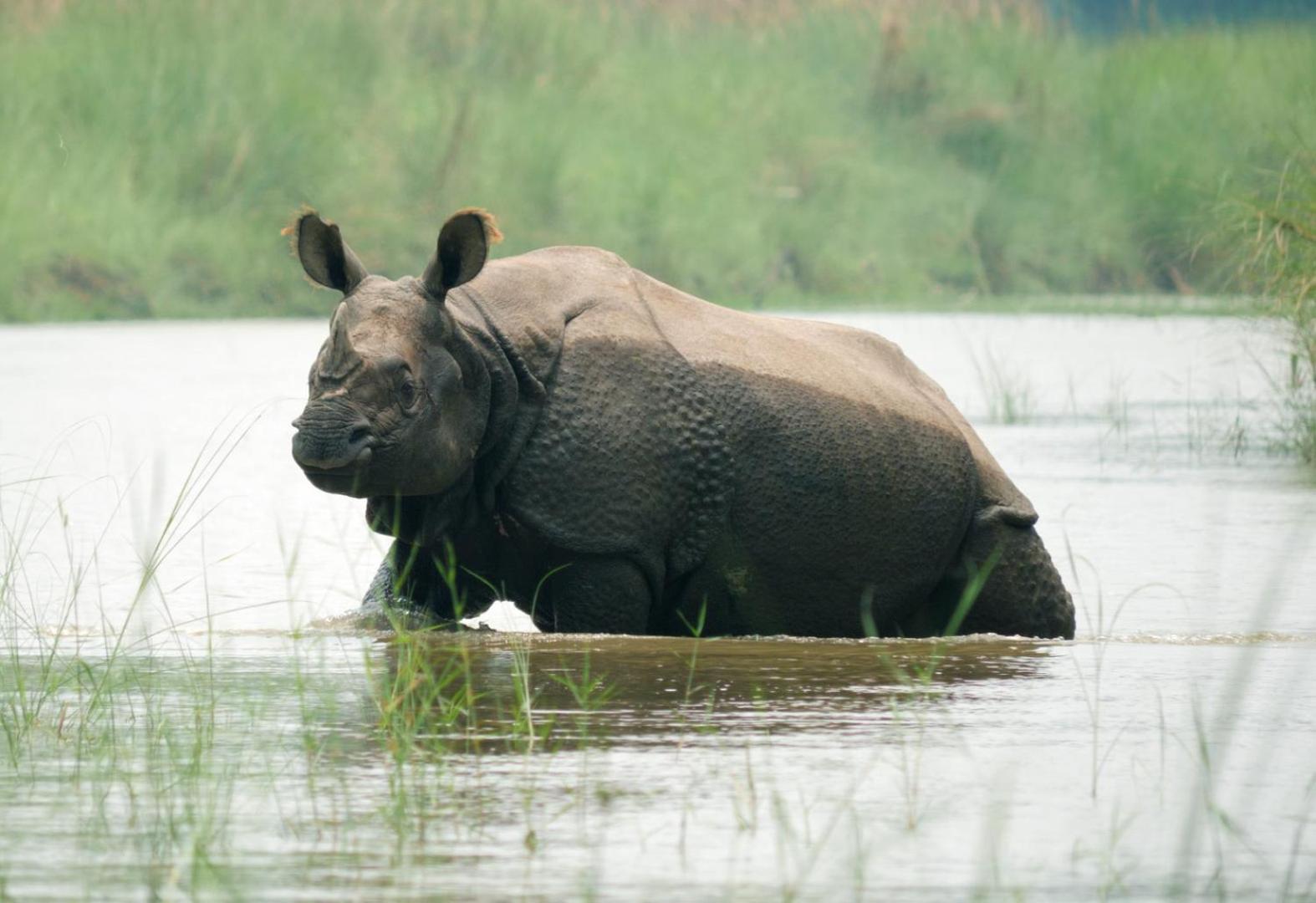 Family House - Bardia National Park Hotel Bardiya Buitenkant foto